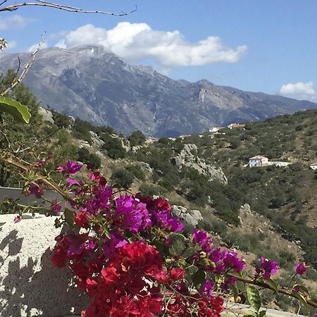 Loma Los Pelones 78 Viñuela Εξωτερικό φωτογραφία