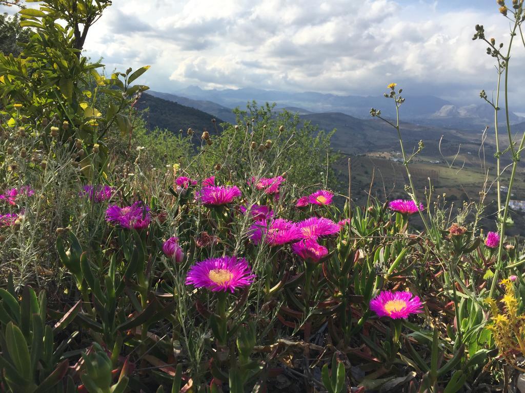 Loma Los Pelones 78 Viñuela Εξωτερικό φωτογραφία