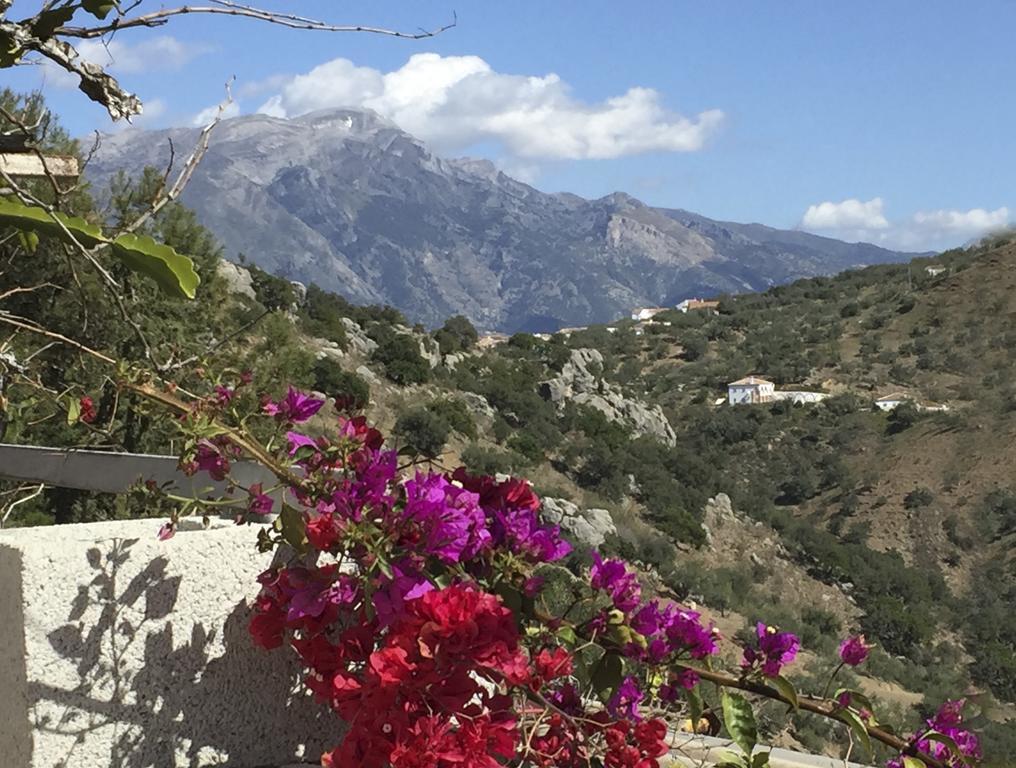 Loma Los Pelones 78 Viñuela Εξωτερικό φωτογραφία
